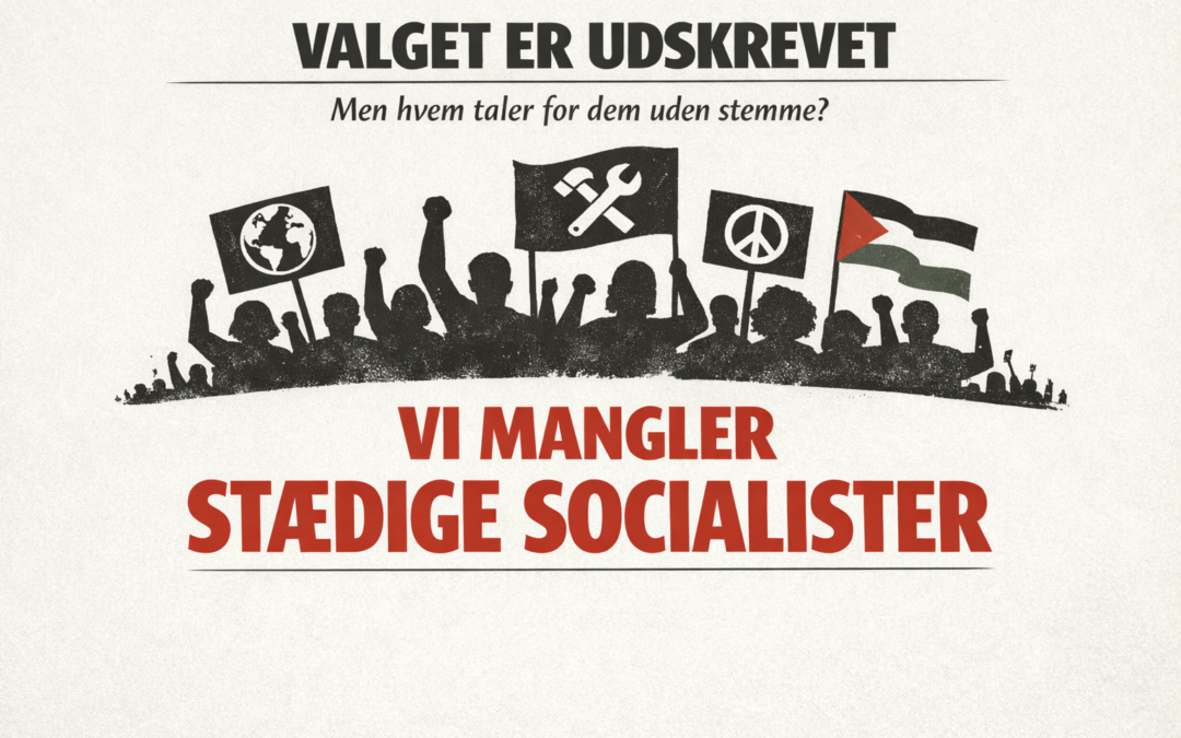 Valget er udskrevet – men hvem taler for dem uden stemme?